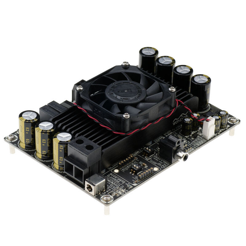 Sure 600W 48V Mono Class D Digital Audio Amplifier Board Subwoofer High Power Fancier Grade Finished Product