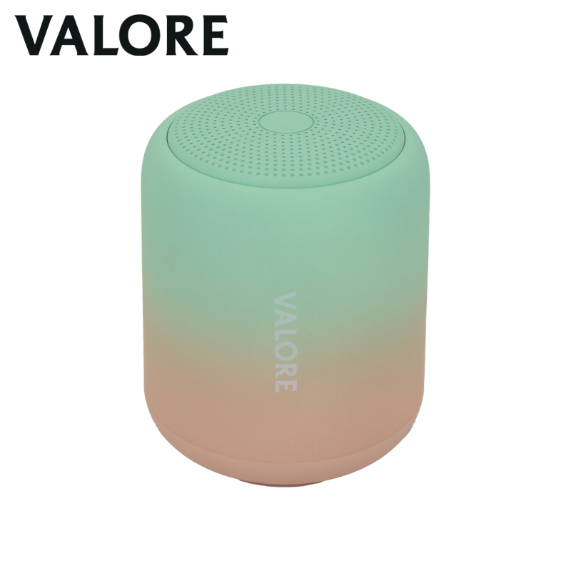 Valore Wireless Speaker (BTS41)